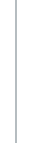 Trennlinie_Wintergrau_lang