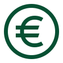 Euro Icon